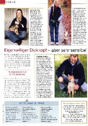 http://shiba-inu-von-der-honigsburg.de/shiba/bilder/Bericht Shiba3a.jpg